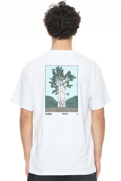 SUP TEE 190/MAHUTA WHITE