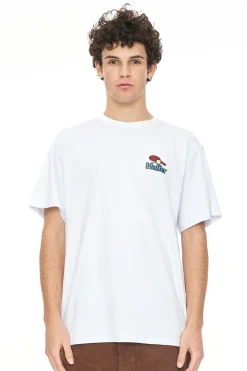SUP TEE 190/SWINGING WHITE